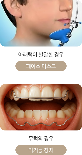 페이스 마스크