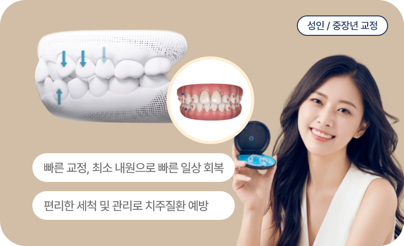 성인 / 중장년 교정